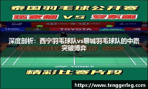 深度剖析：西宁羽毛球队vs聊城羽毛球队的中路突破博弈